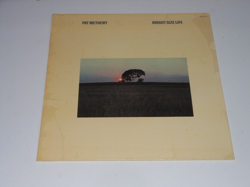 Ecm pat metheny lp - pat,