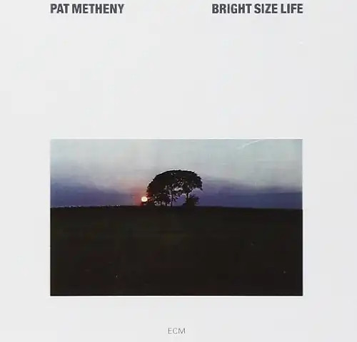 Pat metheny bright - size, life