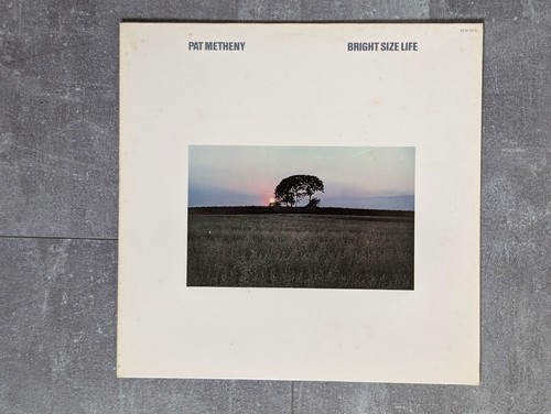 Pat metheny bright size - metheny, "bright