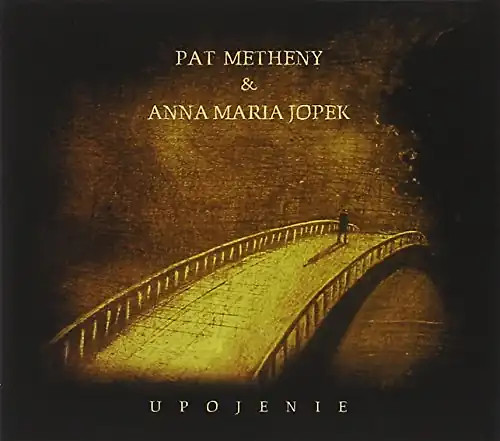 Pat metheny upojenie - pat,