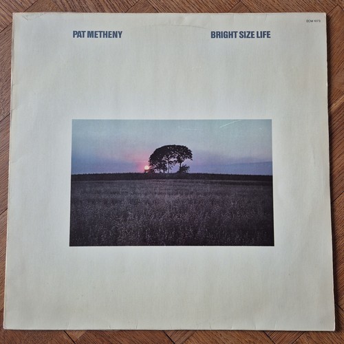 Pat metheny bright - pat, size